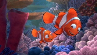 A sociedade dos peixes-palhaço funciona de maneira muito distinta da narrativa de "Procurando Nemo"