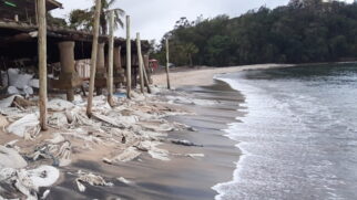 Praia da Mocoóca, em Caraguatatuba