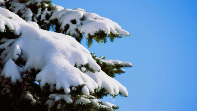 Essa ocorrência acontece por conta da formação de nuvens, da altitude elevada do local e da atuação de uma massa de ar frio
