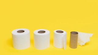 Feito de papelão, um material renovável e reciclável, o rolo de papel higiênico carrega um enorme potencial