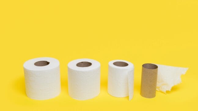 Feito de papelão, um material renovável e reciclável, o rolo de papel higiênico carrega um enorme potencial