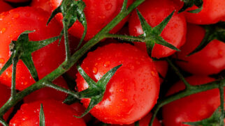 Descubra o que a ciência diz sobre como conservar tomate maduro