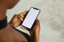 Os dados se referem apenas ao primeiro semestre de 2025