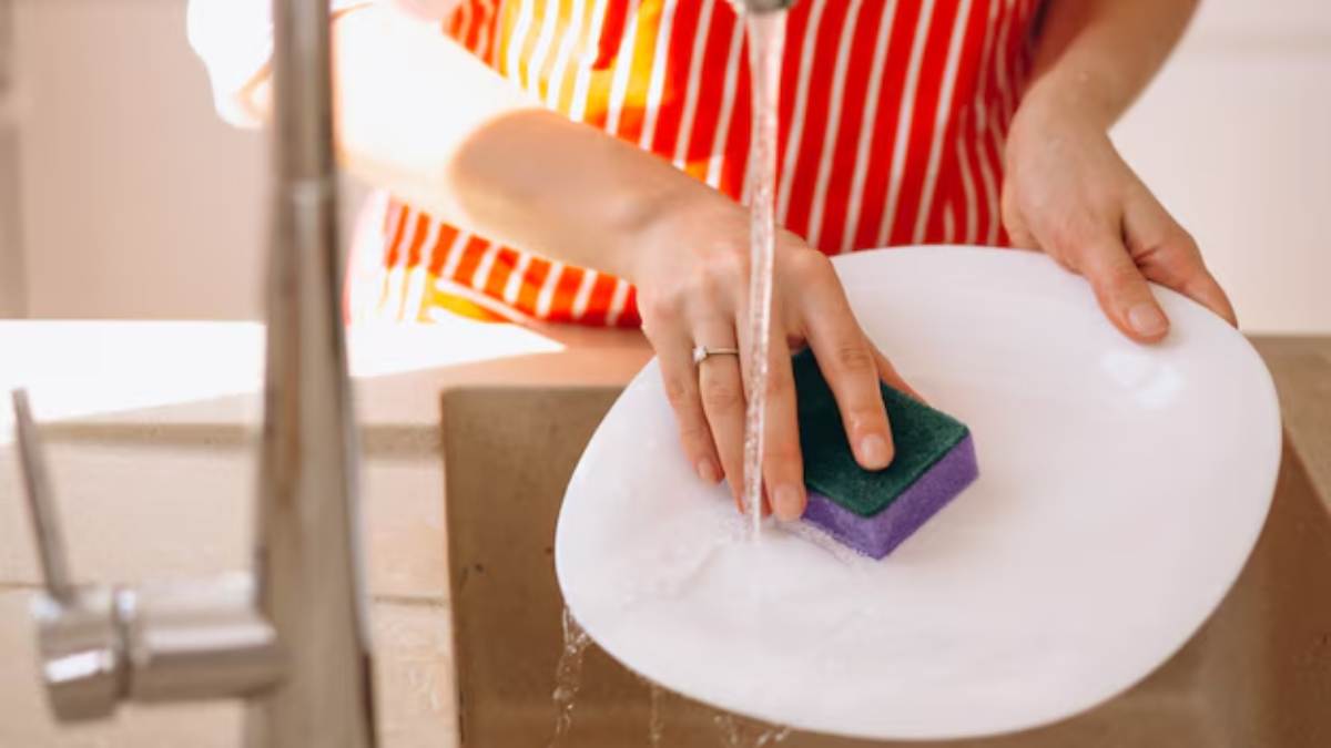 Descubra a função de espojas de lavar louça coloridas