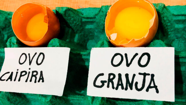 Você já reparou que as gemas dos ovos nem sempre são iguais?