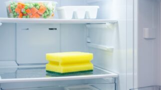 Truque simples e ecológico