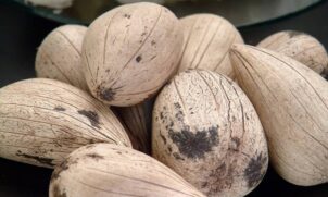 O fruto é conhecido por ser um grande aliado da indústria de cosméticos
