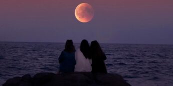 Pessoas com inteligência emocional forte costumam ter frases de empatia