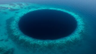 Mergulhe no mistério do maior buraco azul do México e desvende a vida em suas formas mais extremas