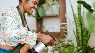Uma especiaria comum pode ser a solução para os problemas do seu jardim em casa