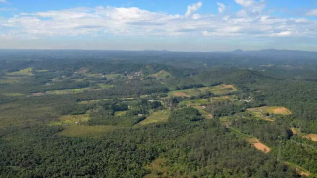 A elevada taxa de arborização de Parelheiros contribui diretamente para a melhoria da qualidade do ar