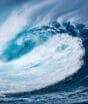 Escurecimento oceânico: entenda por que a água marinha ficou mais turva