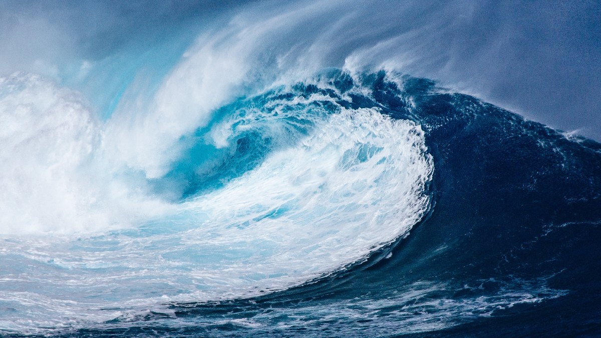 Escurecimento oceânico: entenda por que a água marinha ficou mais turva