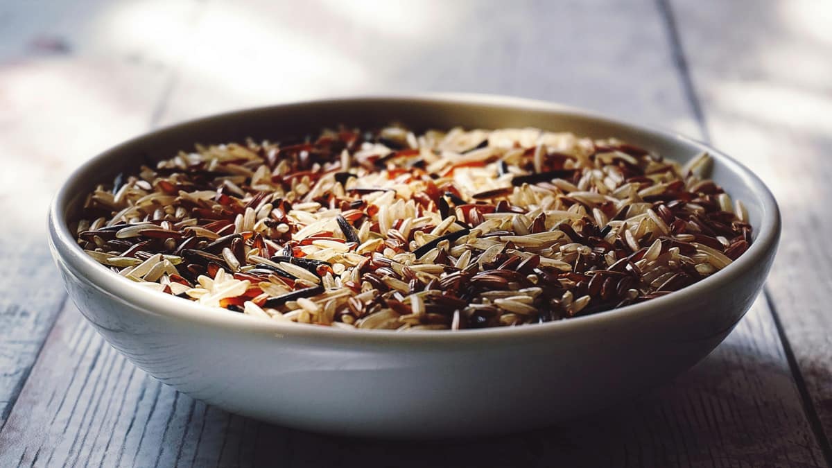 Segundo a veterinária, a quantidade e a frequência com que o arroz pode ser oferecido viram de acordo com o tamanho (Suzyhazelwood/Pexels)