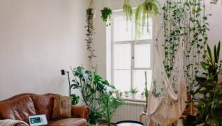 Quais são as plantas mais resistentes para se ter em casa