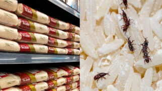 Esses pequenos invasores são, na verdade, traças de alimentos
