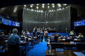 Proposta é de autoria da deputada Laura Carneiro (PSD-RJ)