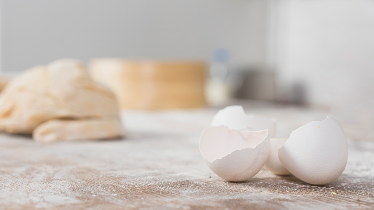 Então, da próxima vez que cozinhar um ovo, lembre-se: a casca pode ser o segredo para suculentas. - Reprodução/Freepik