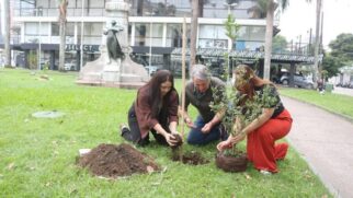 Até o final da programação, que se encerra no dia 8, serão plantadas 200 árvores na Cidade, além da realização de outras atividades focadas na conservação do ambiente