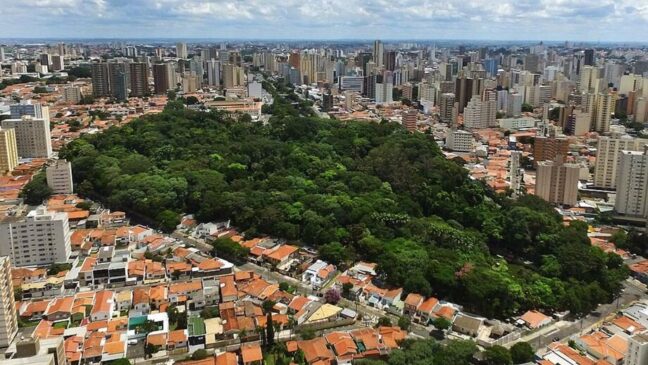 Somente em Campinas, o volume de negócios deve chegar a R$ 3,11 bilhões