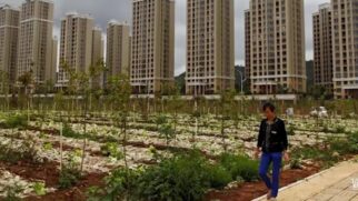 De megaprojetos abandonados a lares rurais