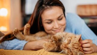 Como um gato escolhe sua pessoa favorita
