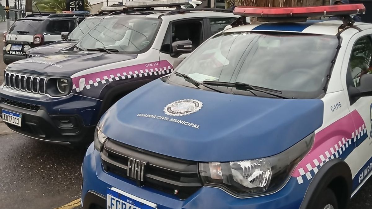 Ele responderá por lesão corporal e violência doméstica