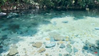 A praia de água doce encanta no interior do Brasil
