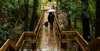A chuva deve voltar ainda discreta ao litoral de SP somente na próxima semana