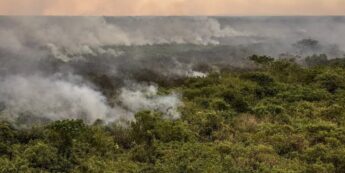 Calor, seca, incêndios e destruição na Amazônia e Cerrado brasileiros