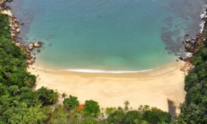 A biodiversidade também é bastante viva em Angra