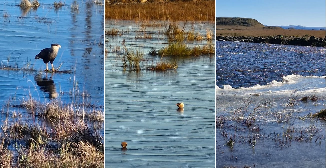 Um rio virou uma verdadeira 'pista de gelo' em Bom Jardim da Serra (SC)