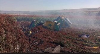 O avião caiu em uma área não habitada