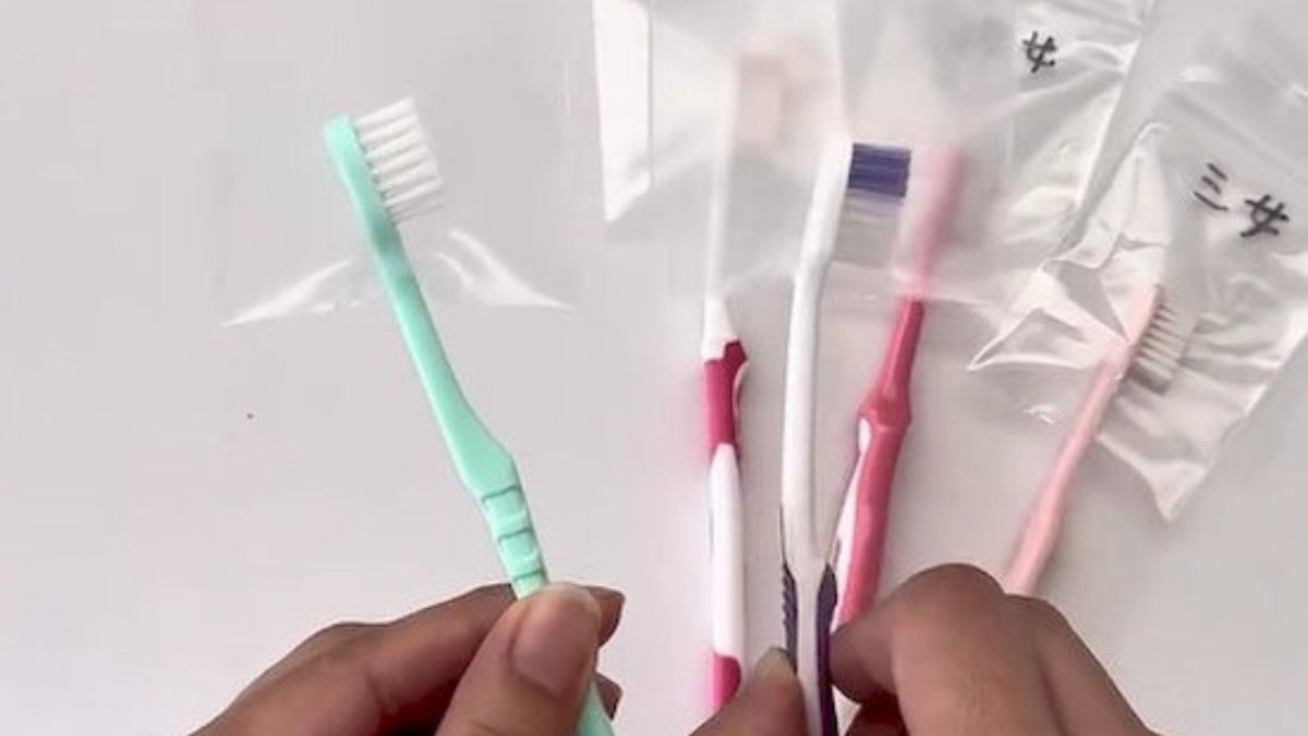 Com apenas isso, você pode criar um estojo higiênico para escovas de dentes que pode levar para qualquer lugar. O estojo com zíper tem a espessura ideal para proteger as escovas. Crédito: reprodução