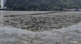Na verdade, o que foi registrado é uma variação normal da maré