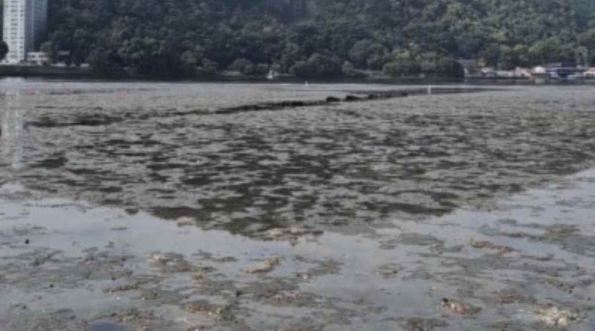 Na verdade, o que foi registrado é uma variação normal da maré