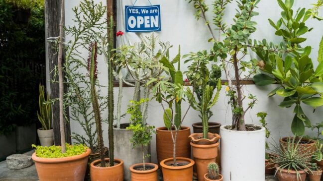 Sua entrada mais segura com a energia positiva da natureza