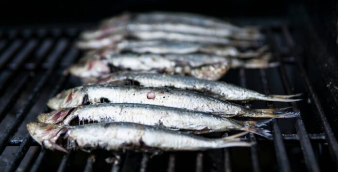 O grande herói dessa história é a sardinha