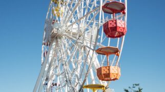 Parques de diversão com atração para família inteira são os mais procurados em plataformas de viagens