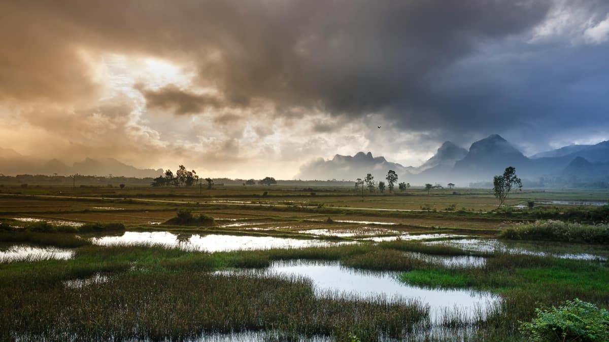 Mais de um terço desses reinos já se dissolveu diante da ânsia cega por terras, por lucros, por promessas de progresso fugidio