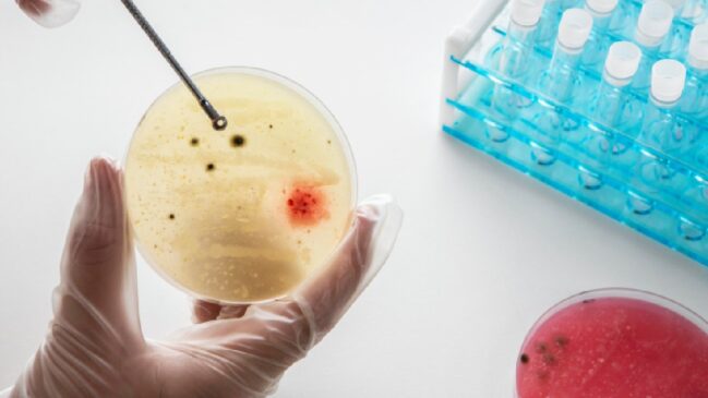 A inovação visa reduzir a dependência de experimentos com animais