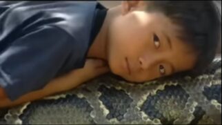 Garoto cultivava uma amizade de confiança e amor