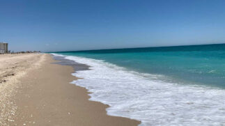 Óasis mexicano, conheça Puerto Peñasco