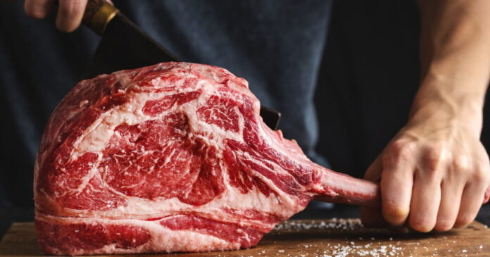 O consumo de carne deve ser equilibrado com alimentos vegetais para promover benefícios tanto à saúde humana quanto ao planeta