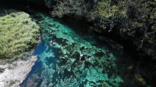 O Rio Sucuri é um dos mais cristalinos do mundo