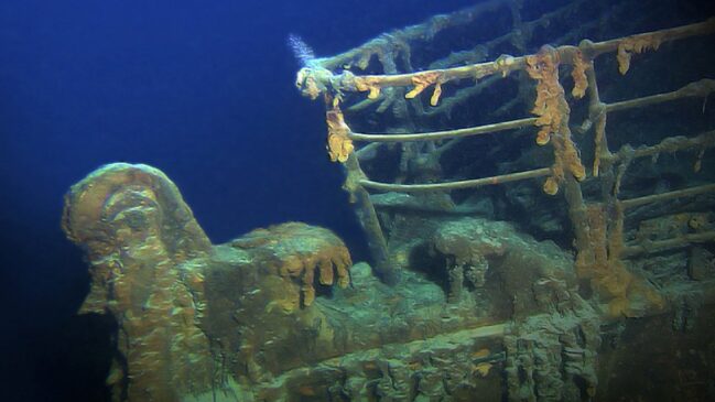 Peça misteriosa pode ser desde um fóssil de tubarão pré-histórico até um tesouro perdido de passageiro