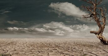 Vida na Terra acabou há 250 milhões de anos pelos mesmos motivos que vemos hoje