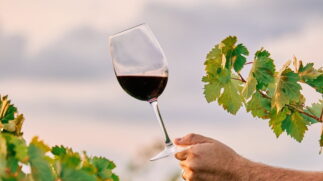 Segundo especialistas, o consumo moderado de vinho tinto pode, sim, estar associado a benefícios cardiovasculares e neurológicos
