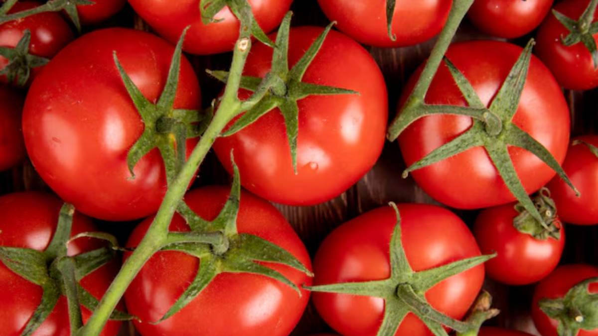 "Evolução contrária" surpreende cientistas