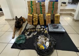 Cão farejador Ice indicou o imóvel onde as drogas estavam